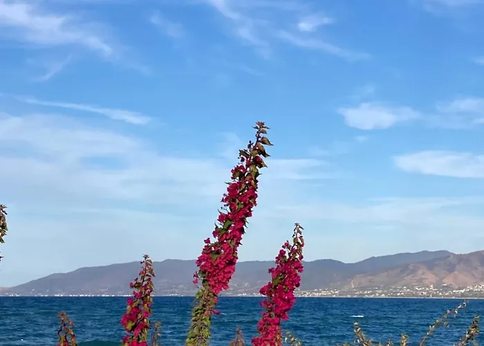 Lägenhet Akamas Bayview